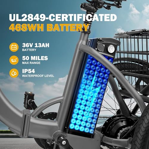Peak 750W Brushless Motor Folding Trike Ebike with 468Wh Removable Battery Z4142