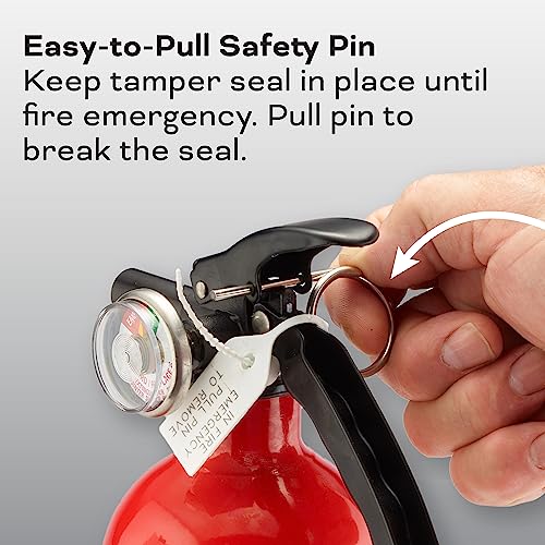 2-A:10-B:C 7.13 Lbs. Fire Extinguisher with Hose and Wall Mount H2405