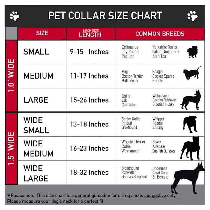 Dog Collar Seatbelt Buckle W84236