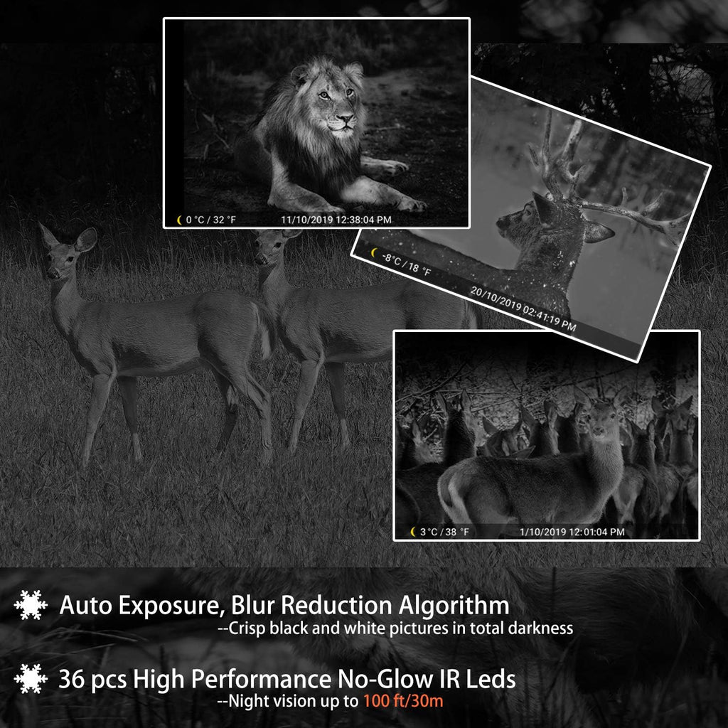5-Pack 24MP 1080P Deer Cameras with Night Vision E4881