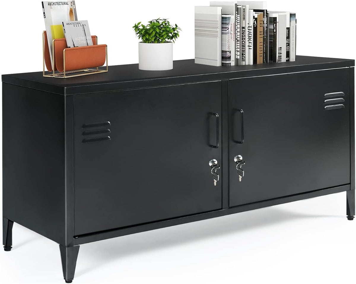 Black 2 Door Metal Storage Cabinet with 2 Shelves W6776