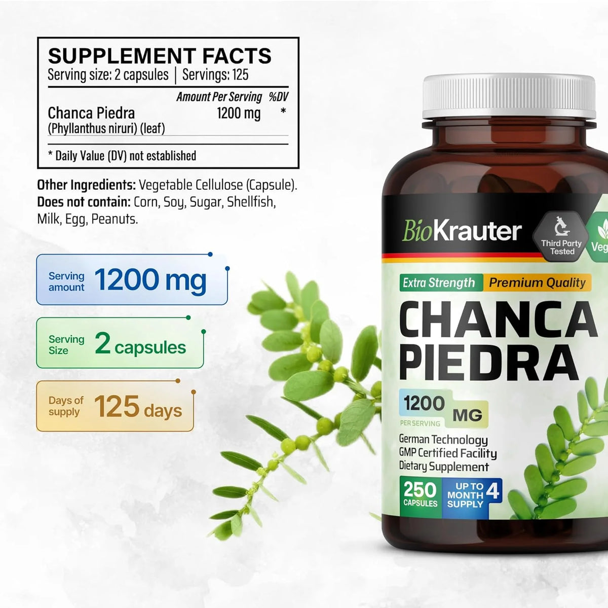 Chanca Piedra Capsules G829