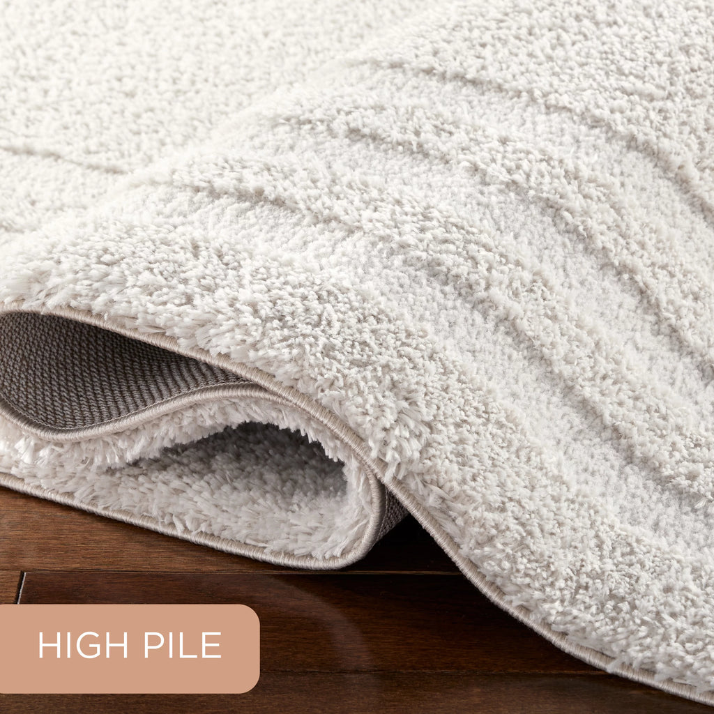 Beige Shag Area Rug 7'10"x10'2" T320166