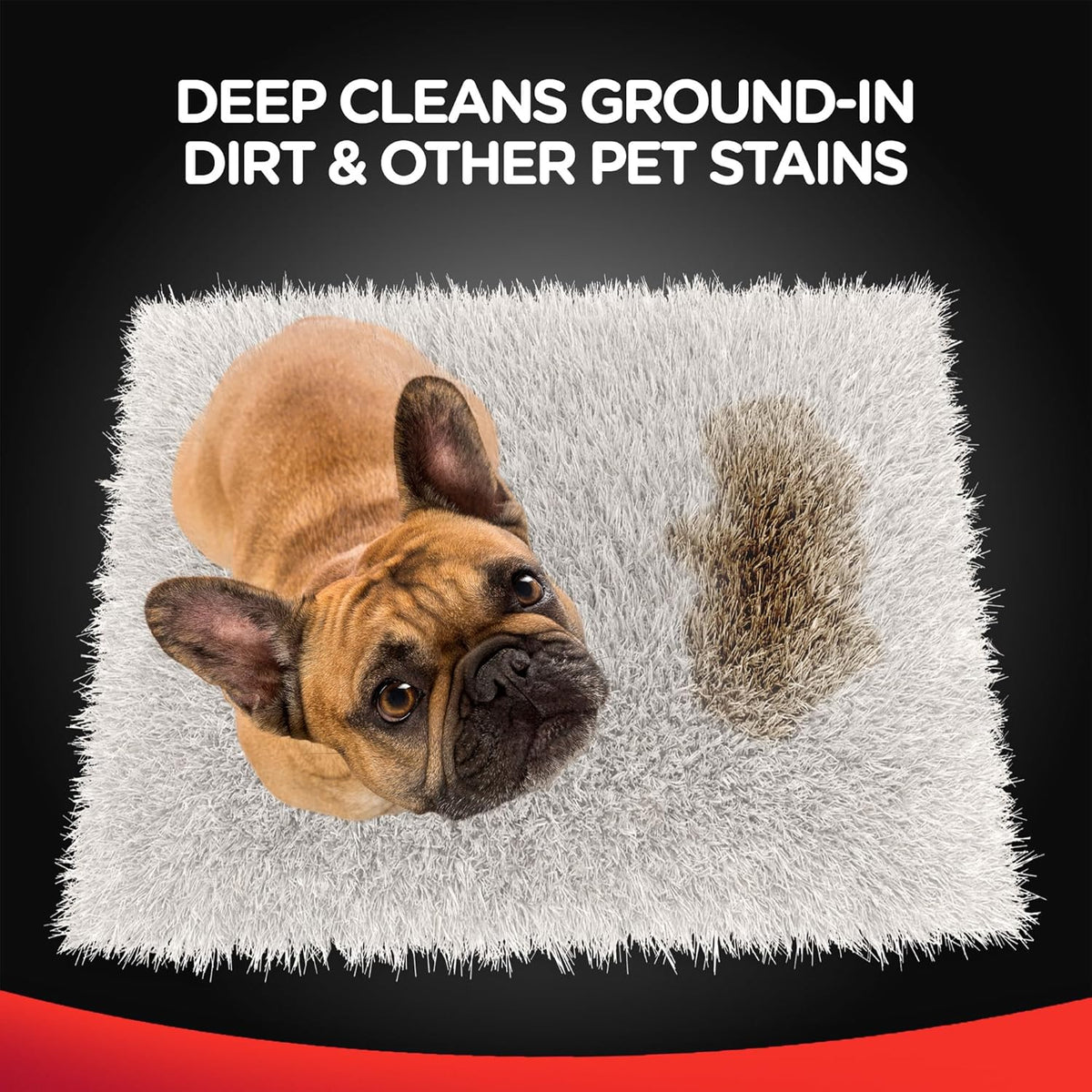 48 oz 3X Concentrate Carpet Cleaner Solution W7909