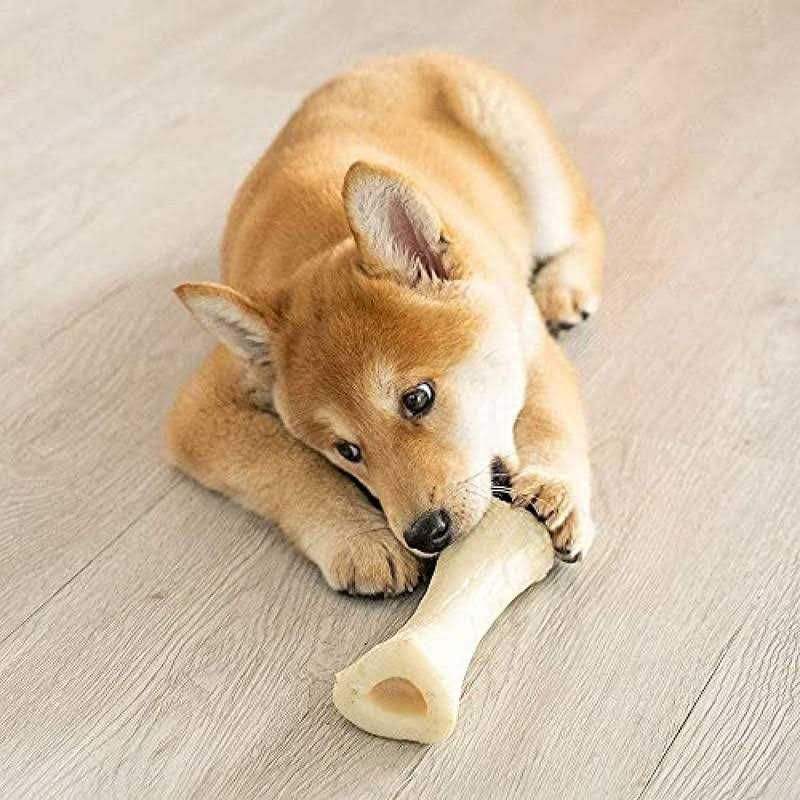 Mini Lamb Chop Dog Toy D103
