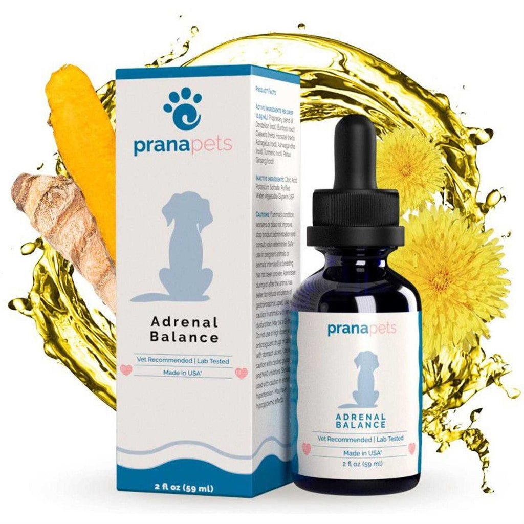 Adrenal Balance for Dogs F241