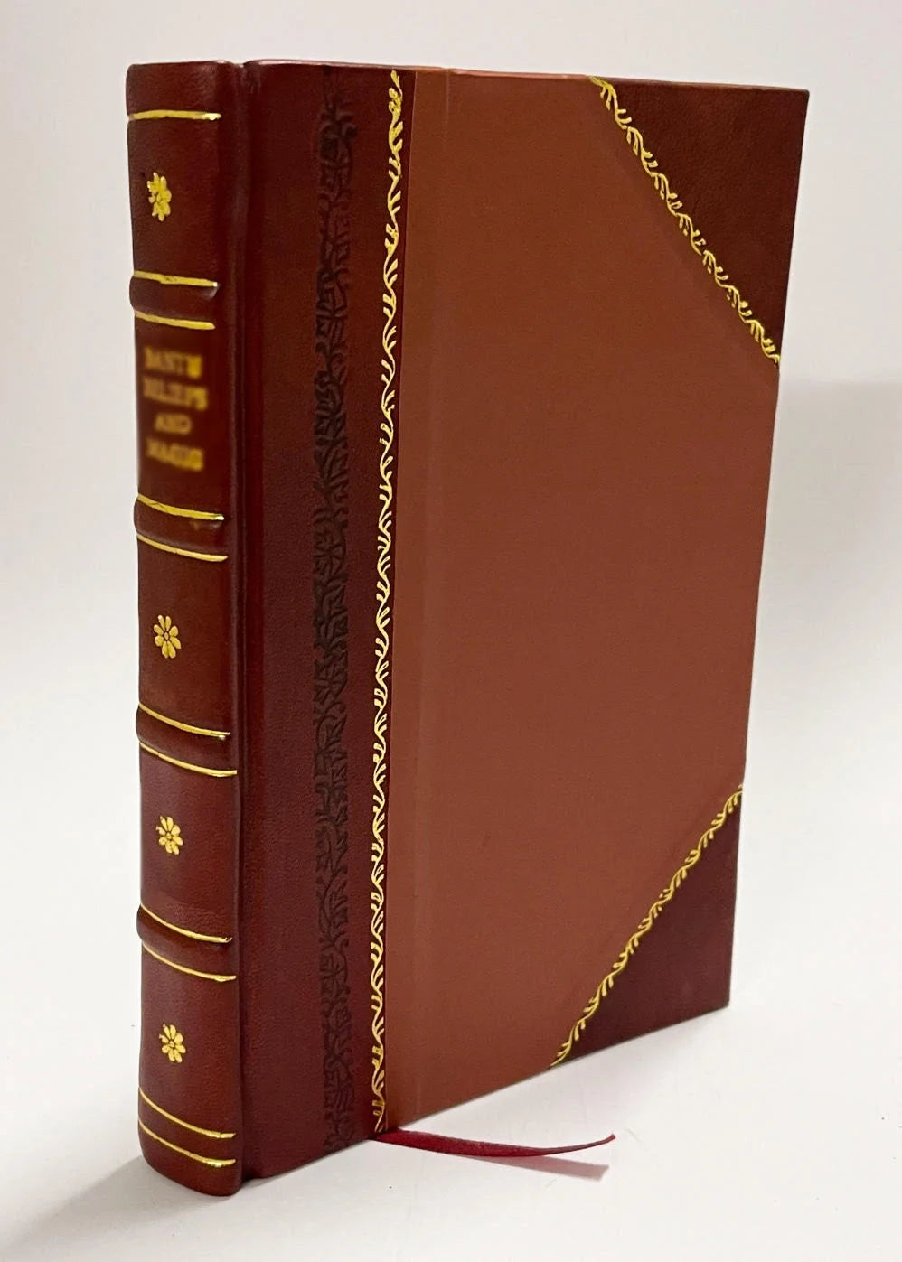 Leather Bound Book Y71773