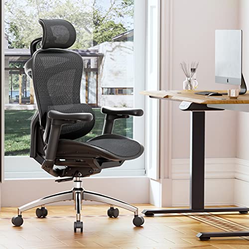 Ergonomic Office Chair with 3D Armrests, Adjustable Backrest, Grey F58990