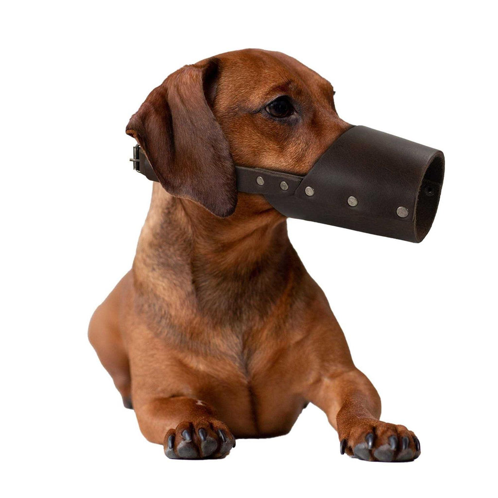 Leather Dog Muzzle T7909
