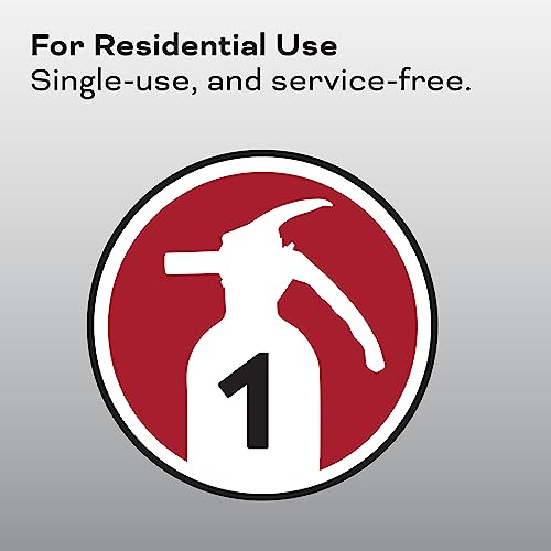 2-A:10-B:C 7.13 Lbs. Fire Extinguisher with Hose and Wall Mount H2405
