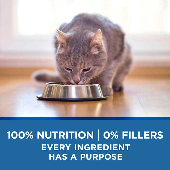 Chicken & Ocean Wet Cat Food W7016