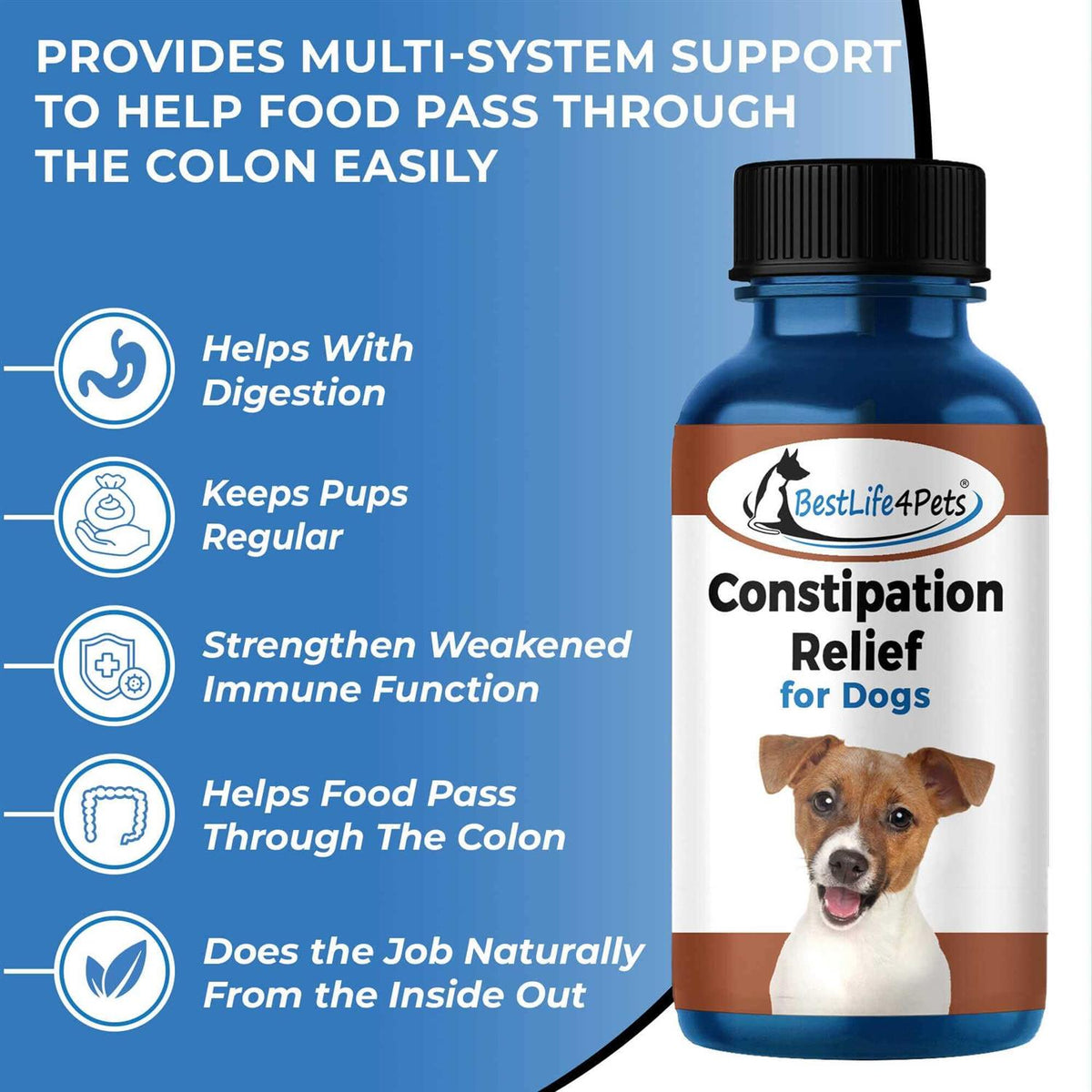Natural Dog Laxative & Constipation Treatment X105186