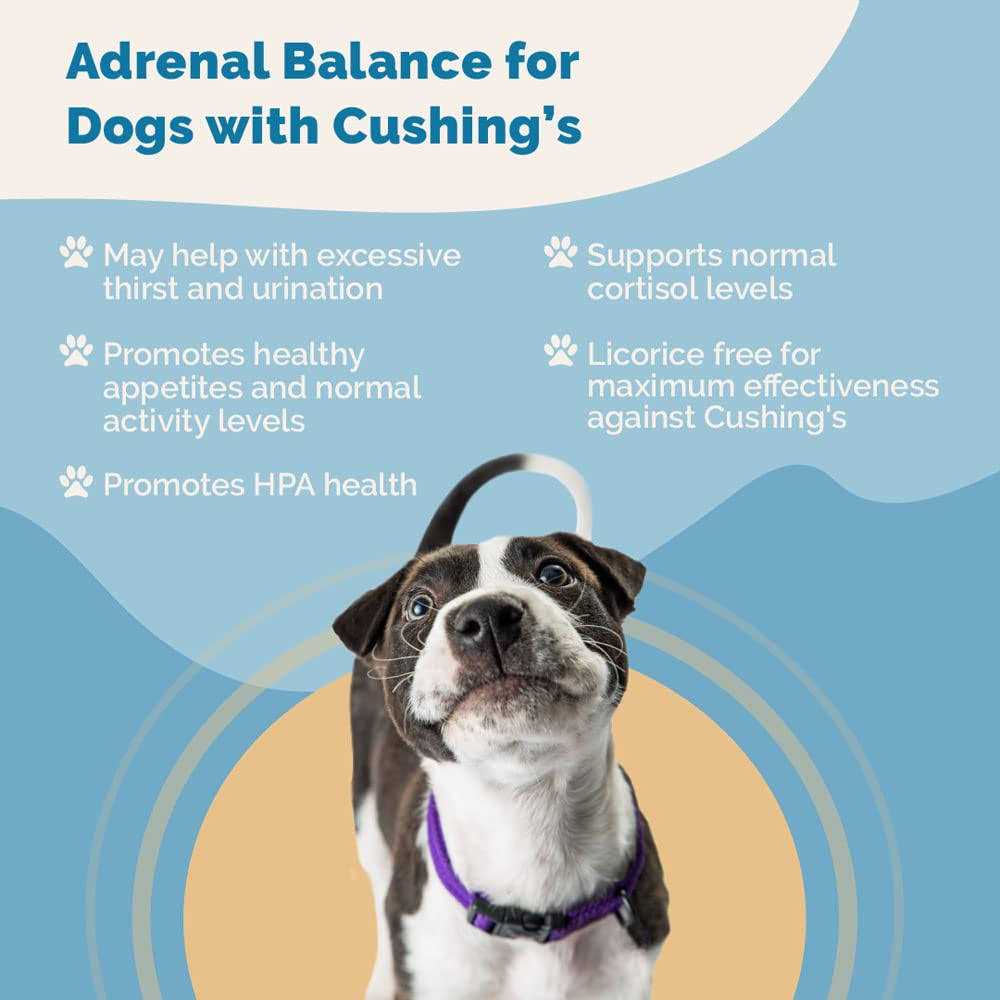Adrenal Balance for Dogs F241