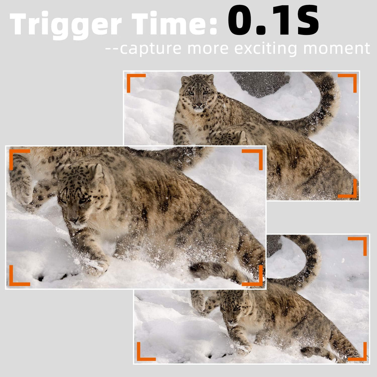 5-Pack 24MP 1080P Deer Cameras with Night Vision E4881