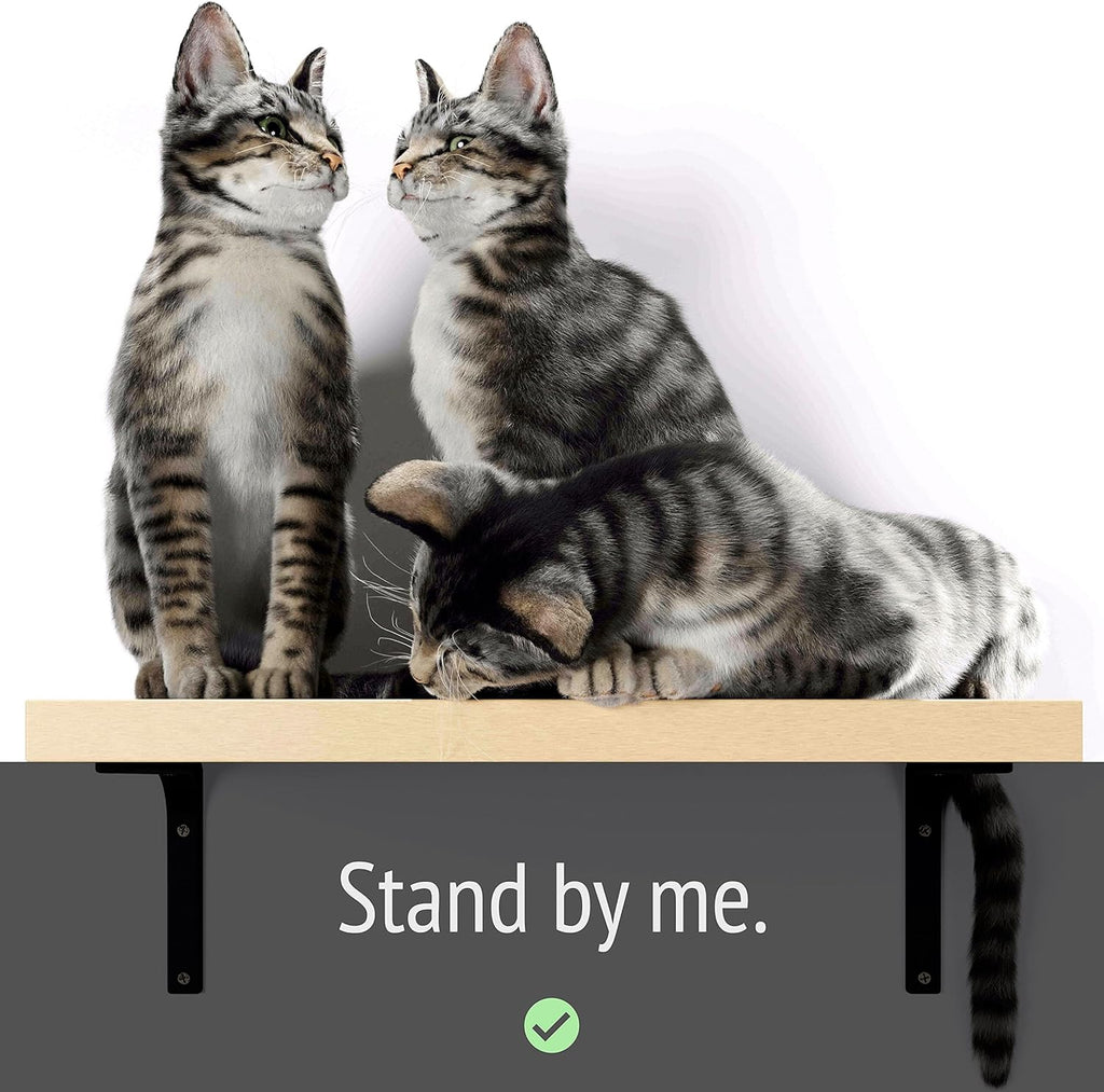 Cat Shelf Wall Furniture, 45-lb-tested-capacity, 16.75 x 10 x 1 in Wood Cat Tree, 1 pc. Z793243