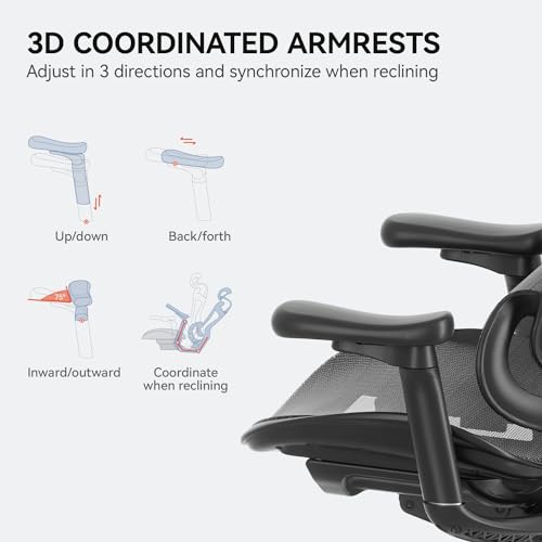 Ergonomic Office Chair with 3D Armrests, Adjustable Backrest, Grey F58990