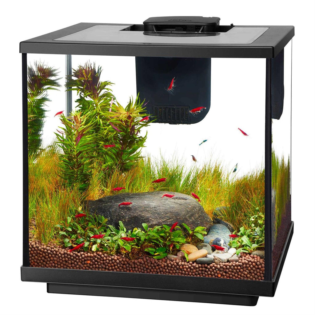 7.5 Gallon LED Shrimp Aquarium Kit N578831