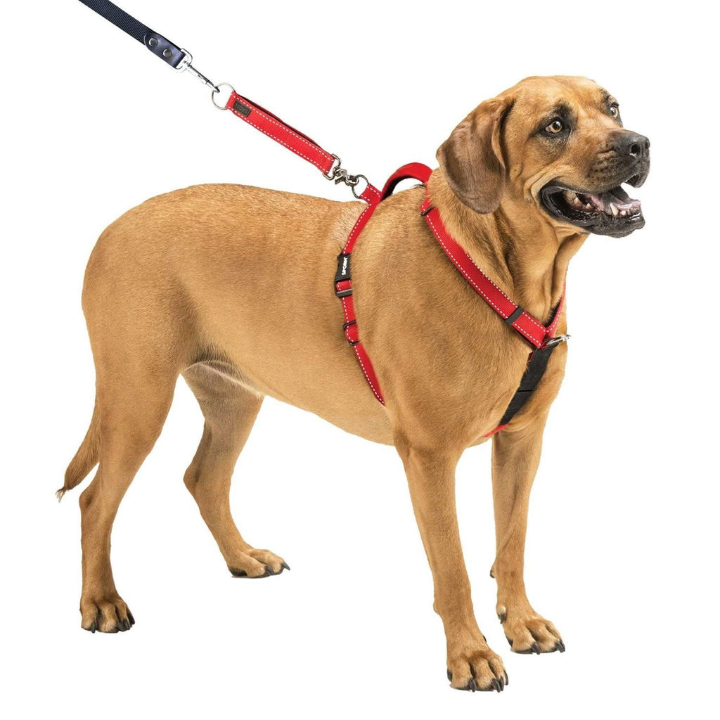 Ultimate Control Harness N2480