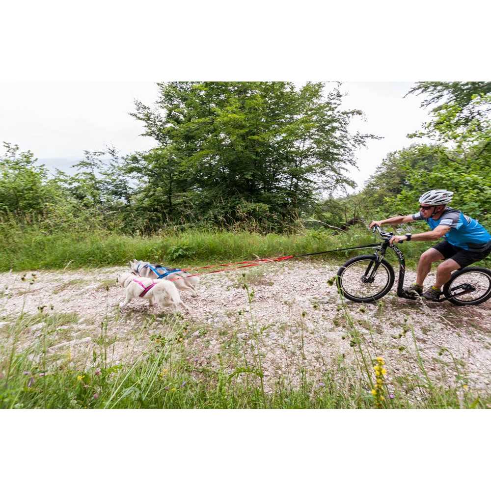 Dog Pulling Harness F742