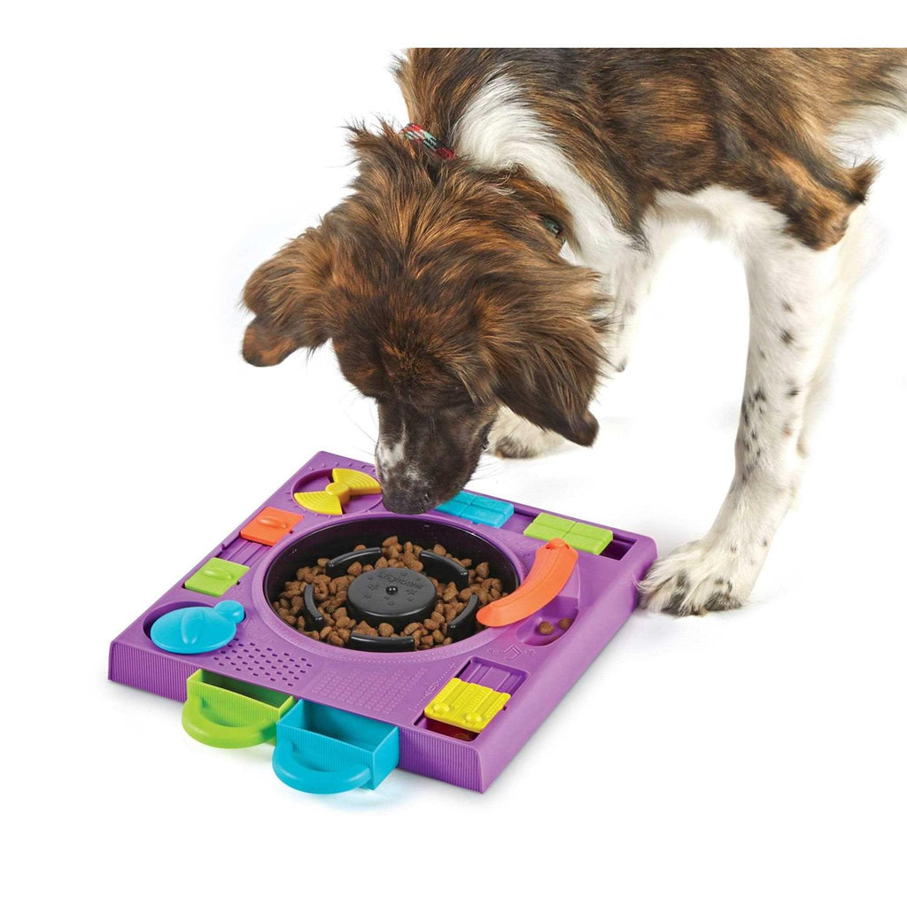 Puzzle Feeder Dog Toy K866388