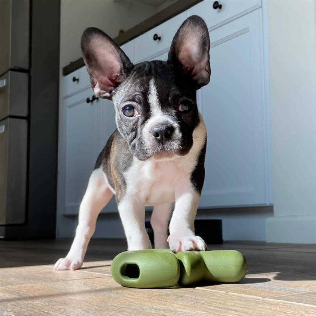 Falcon Dog Toy Z193404