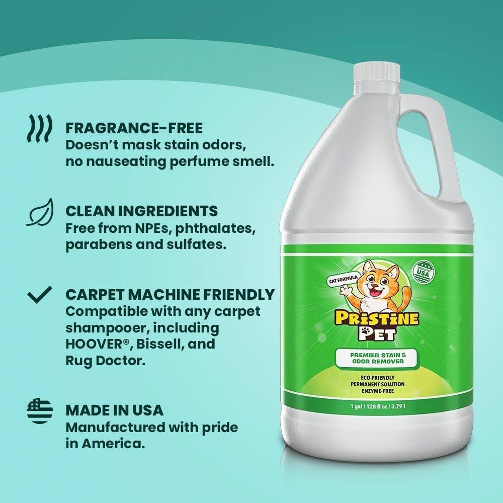 32 oz Spray Bottle 2-Pack Stain & Odor Remover T571599