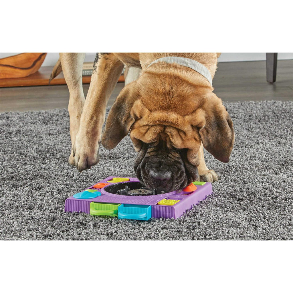Puzzle Feeder Dog Toy K866388