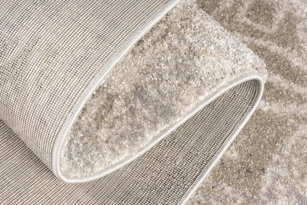 Grey Brown Plush Area Rug 4' x 6' B500858