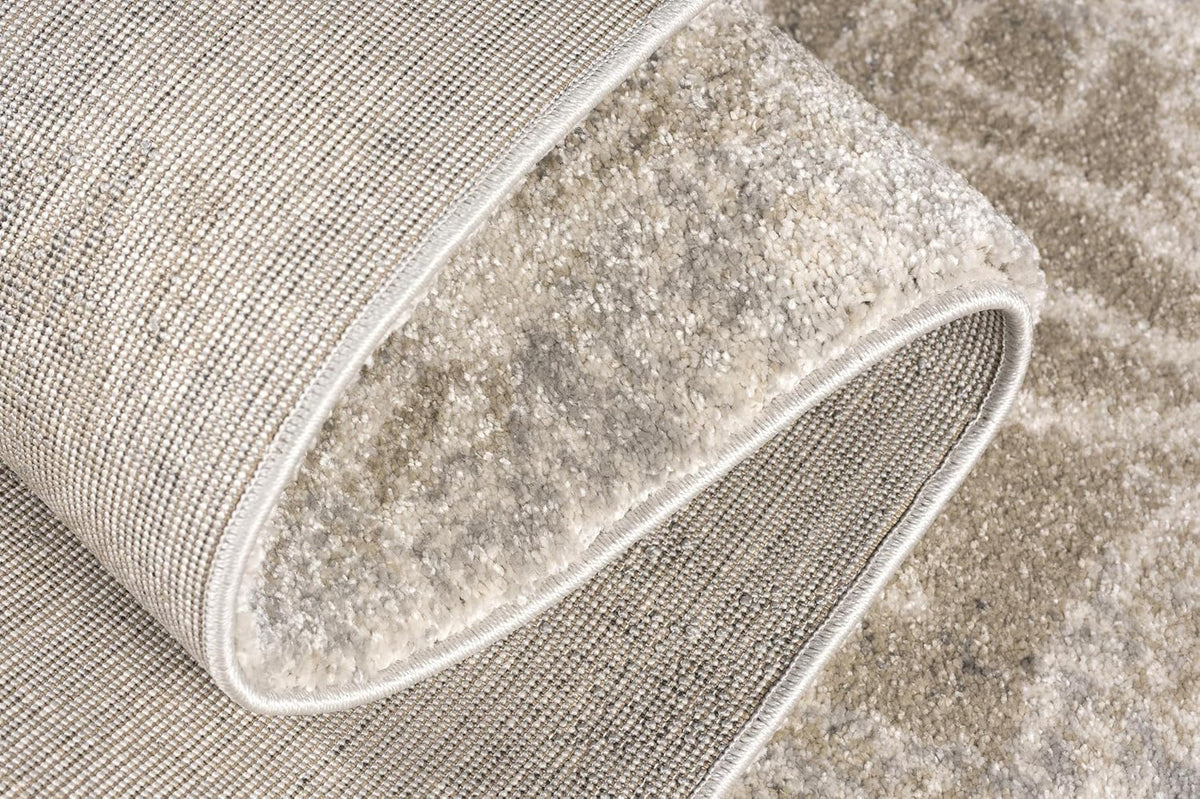 Grey Brown Plush Area Rug 4' x 6' B500858