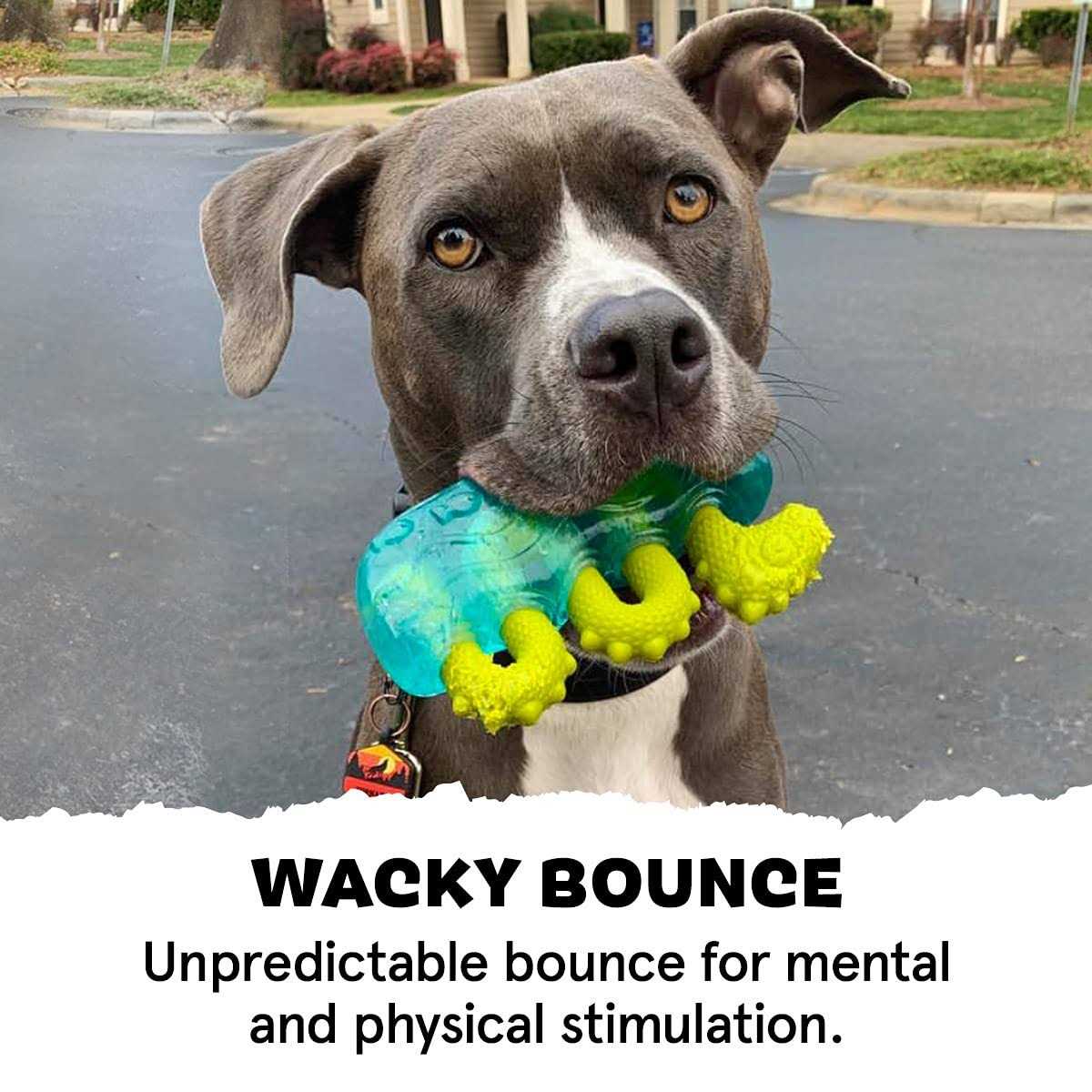 Tough Dog Toys & Chews for Aggressive Chewers K5010