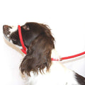 Anti Pull Dog Head Collar M6134