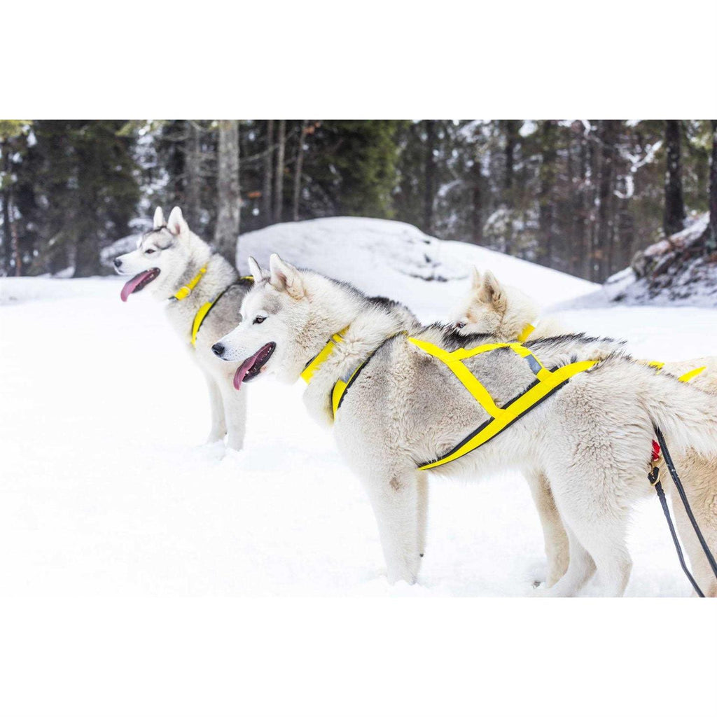 Dog Pulling Harness F742