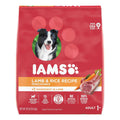 Dry Dog Food B788345