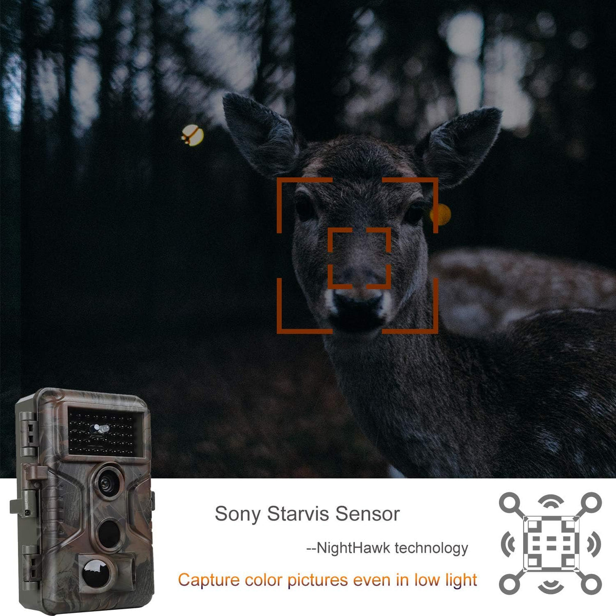 5-Pack 24MP 1080P Deer Cameras with Night Vision E4881