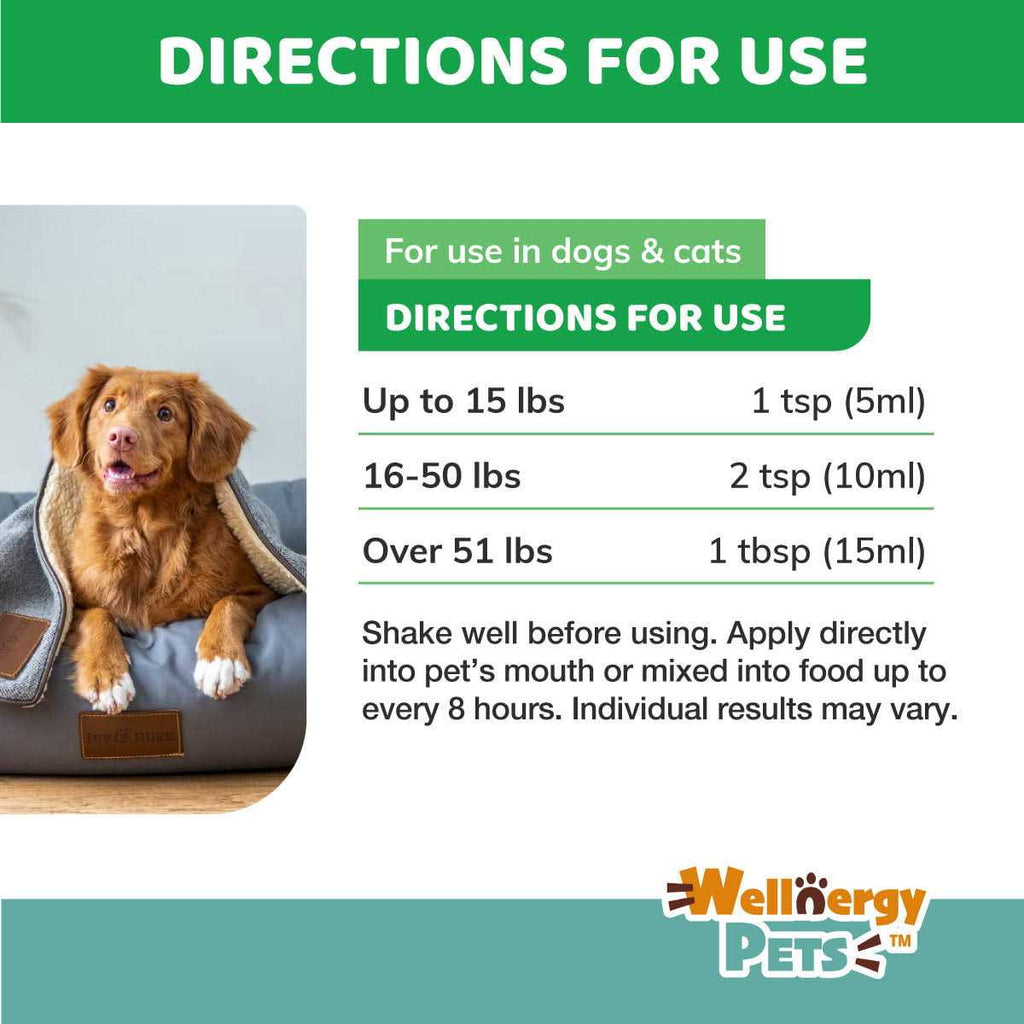 Anti-Diarrhea for Dogs and Cats with Syringe A7867