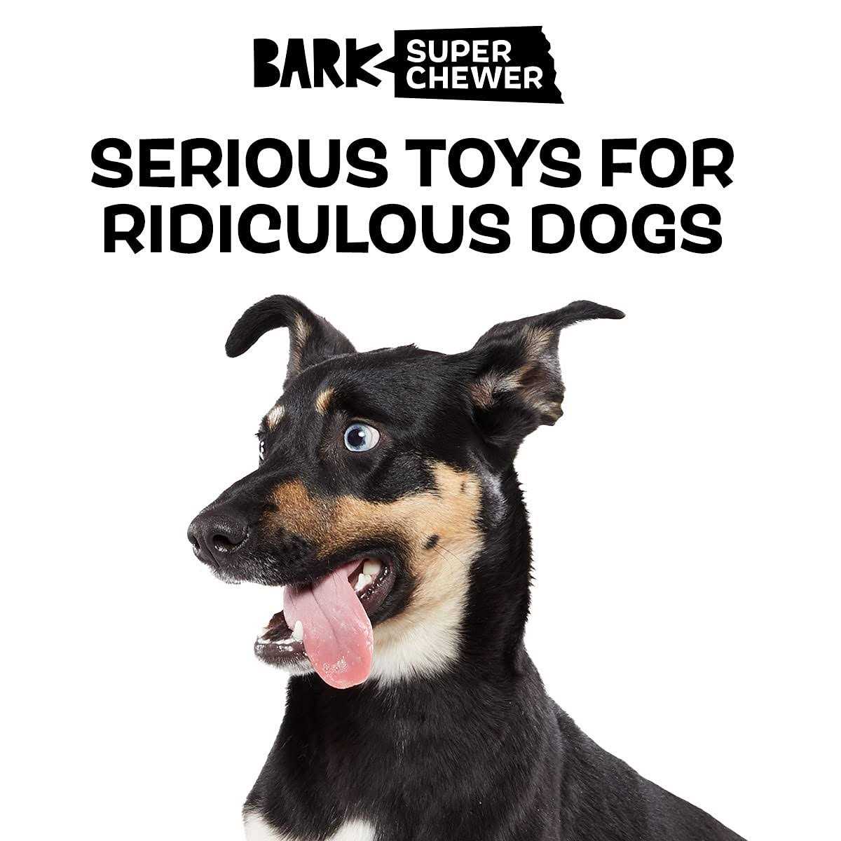 Tough Dog Toys & Chews for Aggressive Chewers K5010