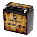Motorcycle Battery 12 Volt 12 Ah 200 CCA D40324