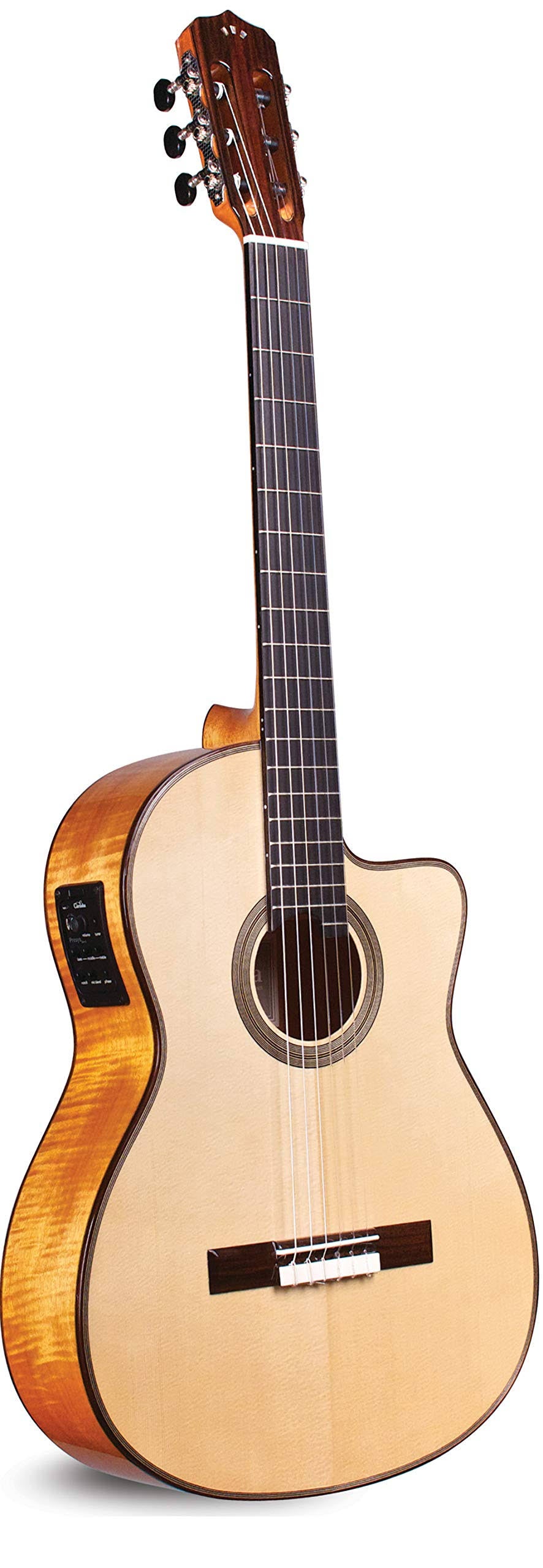 Maple Acoustic Guitar F542