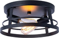 12 inch 2-Light Flush Mount Ceiling Light Fixture R38372