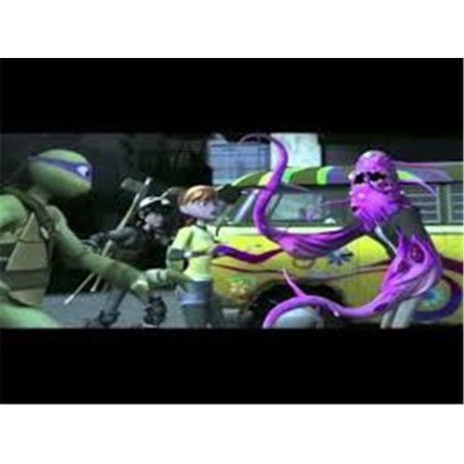 216 Piece Teenage Mutant Ninja Turtles Display N878