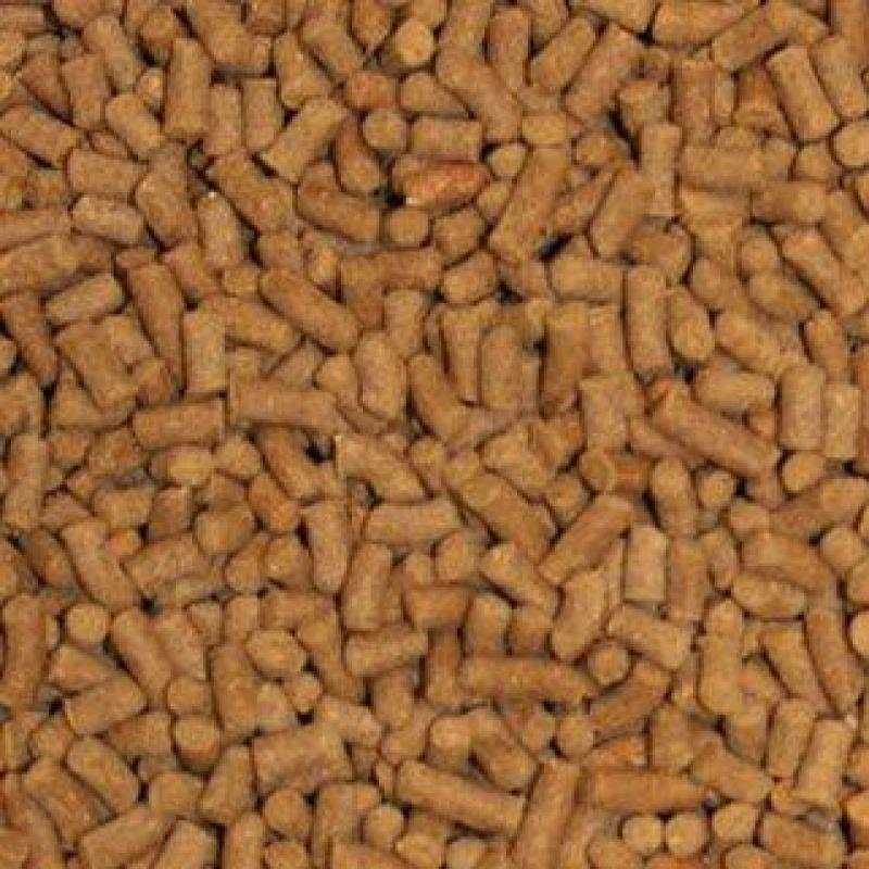 Shrimp Pellets Fish Food G121
