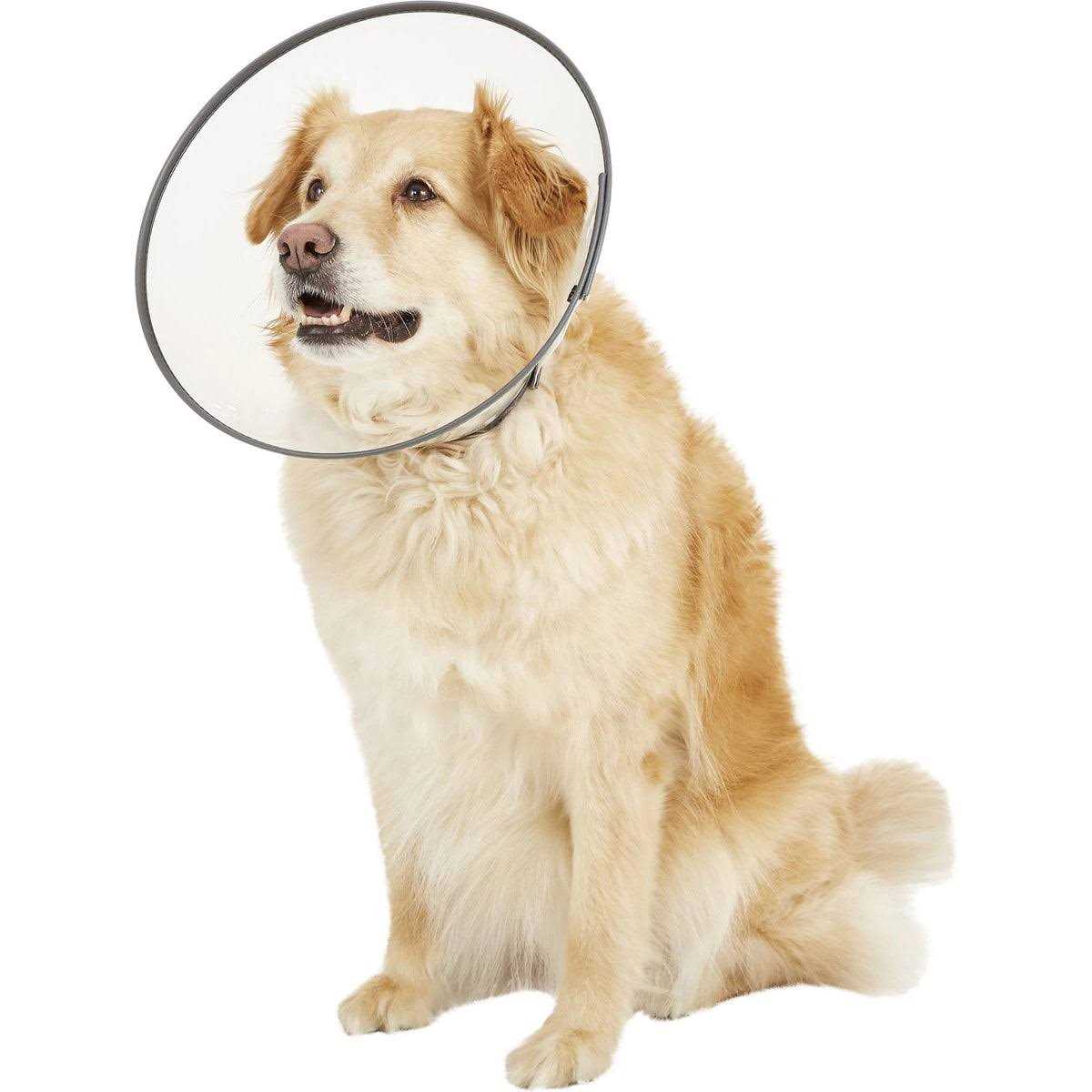 Rigid E-Collar Medium M13771