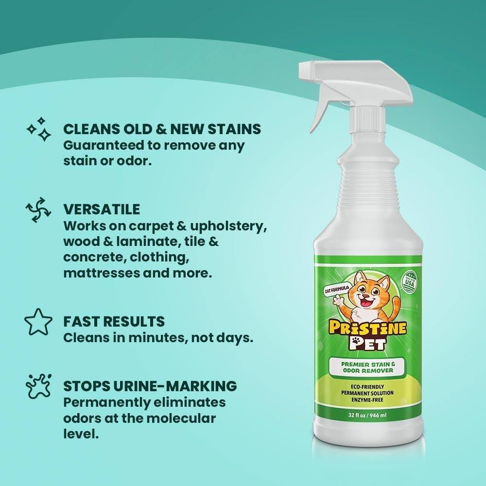 32 oz Spray Bottle 2-Pack Stain & Odor Remover T571599