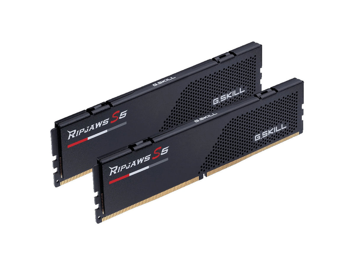 64GB (2 x 32GB) DDR5 5600 Desktop RAM I65009