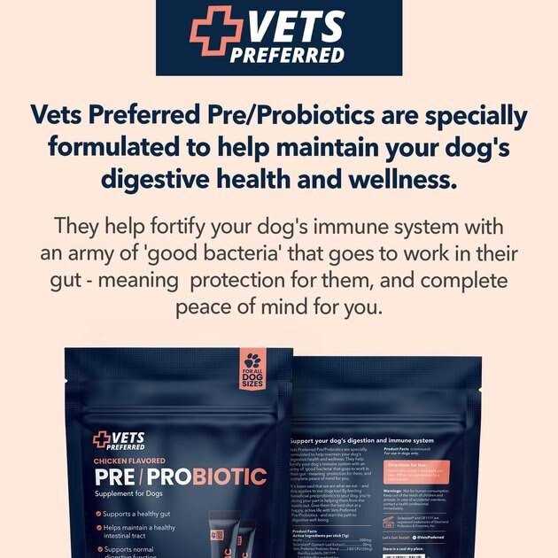 Chicken Flavored Pre-Probiotic Powder Supplement for Dogs 30 Sticks G503