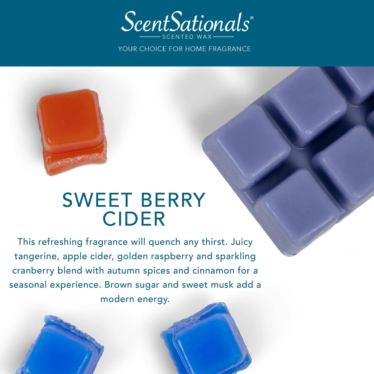 2.5 oz Scented Wax Melts R470241