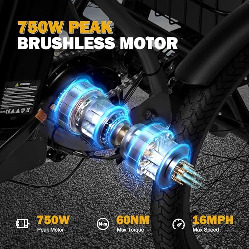 Peak 750W Brushless Motor Folding Trike Ebike with 468Wh Removable Battery Z4142