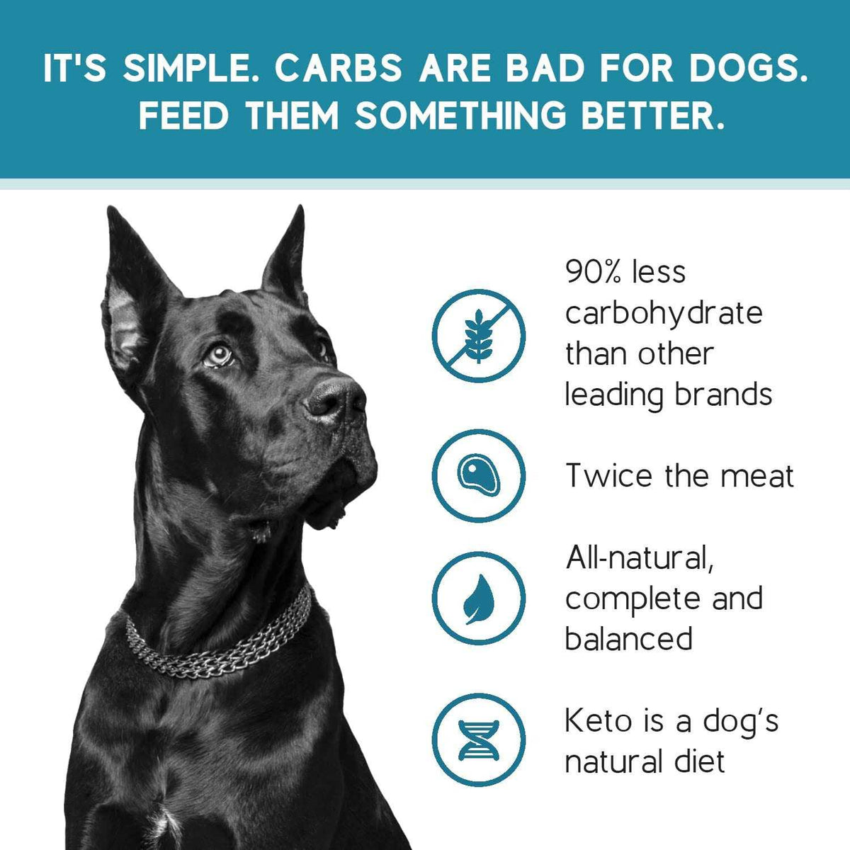Chicken Recipe Adult Dry Dog Food Low Carb High Protein F42448