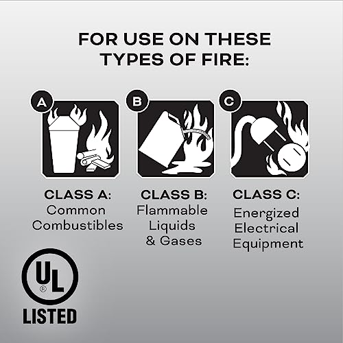 2-A:10-B:C 7.13 Lbs. Fire Extinguisher with Hose and Wall Mount H2405