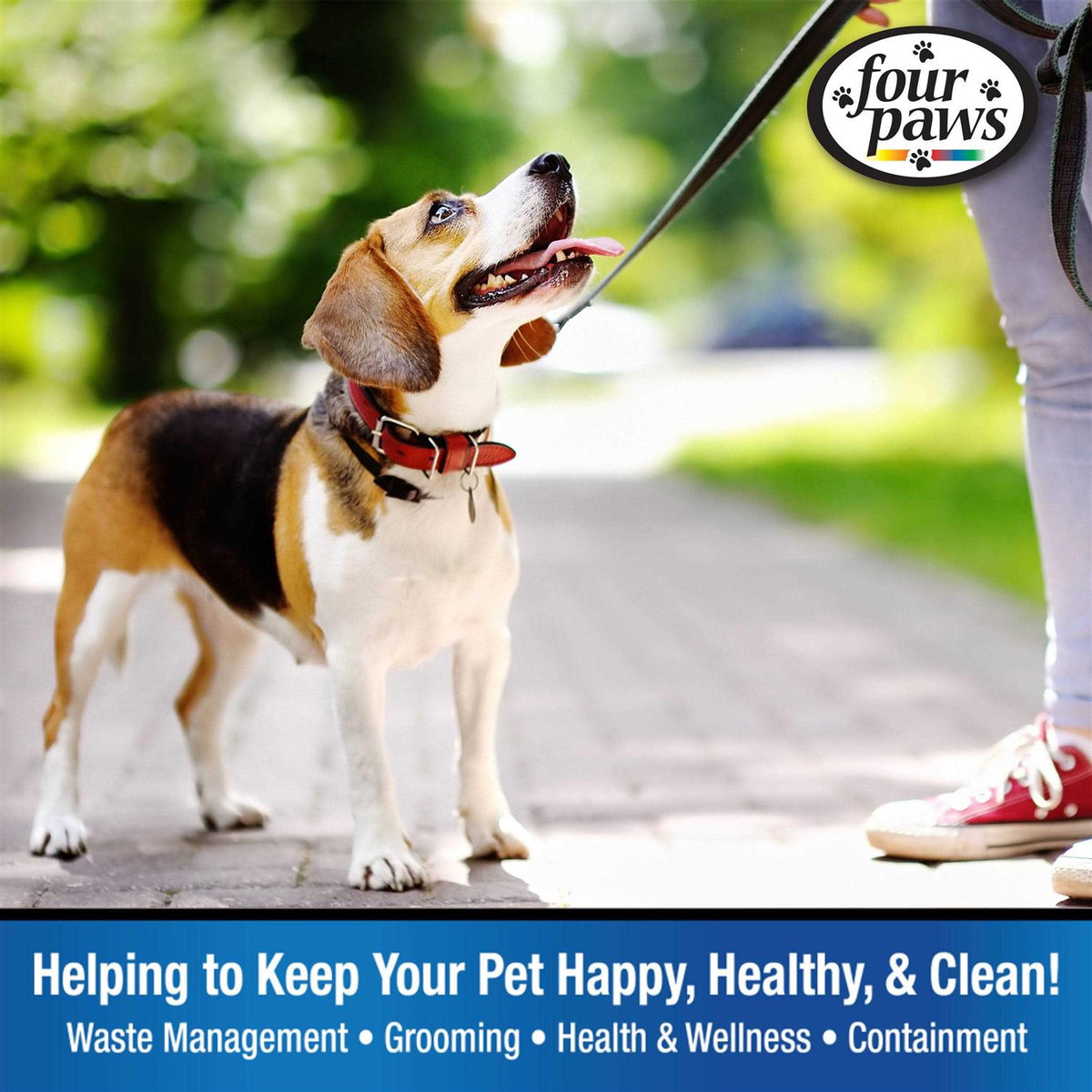 Cotton Web Dog Training Lead L562